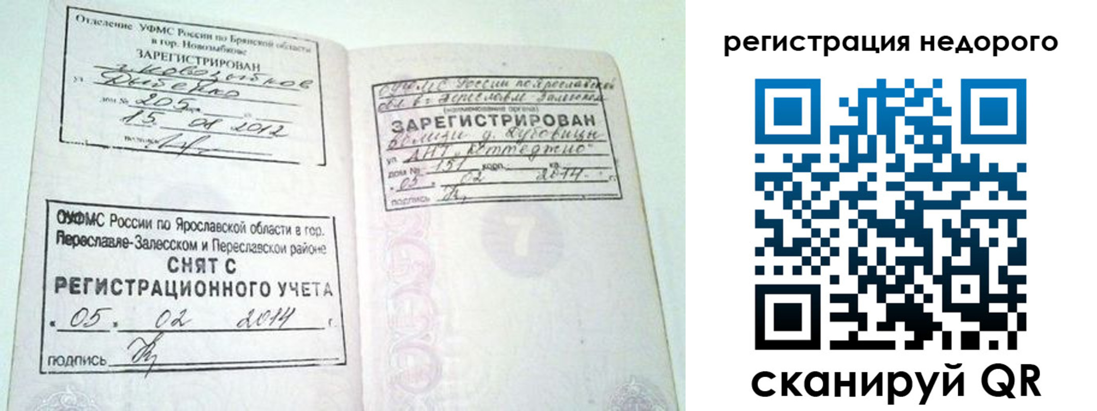 прописка поиск в Дмитрове